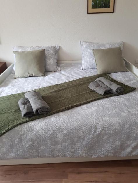 Apartma Bela 보힌스카 벨라 외부 사진